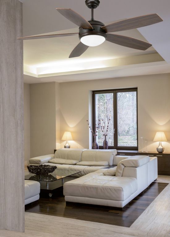 FARO  Ventilatore Per Soffitto Con Luce Vanu  un prodotto in offerta al miglior prezzo online